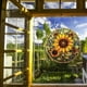 thumbnail image 1 of LADIGASU Girasol Estilo Cadena de Hierro Decoración de Vacaciones Ventana Pantalla Porche Decoración Colgante Regalo Decoración Liquidación Cadena de Girasoles Rústicos*1, 1 of 5