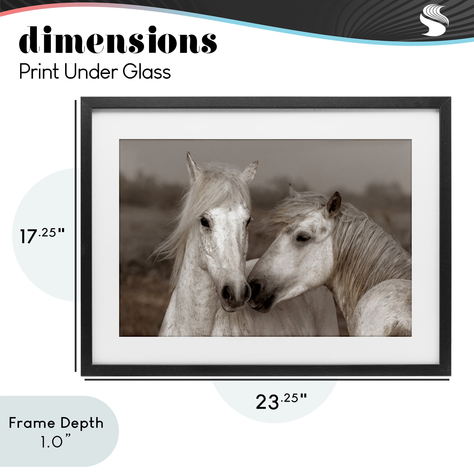 Stupell Industries Gentle Companionship Horses Black Framed Print Under Glass, design by Danita Delimont