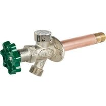 Prier 1/2 in. PEX in. Anti-Siphon Brass Freezeless Wall Hydrant