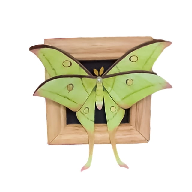 3D Butterfly Refrigerator Magnet, Realistic Butterfly Fridge Magnet Home Decor, Removable Butterfly Wall Sticker, Kitchen Decorative Magnet for Metal Surfaces, Home Office Entryway Accent