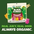 thumbnail image 5 of Black Forest Organic Gummy Forest Friends Candy, Made with Real Fruit Juice, Colors and Flavors from Natural Sources, Gluten, 5 of 7