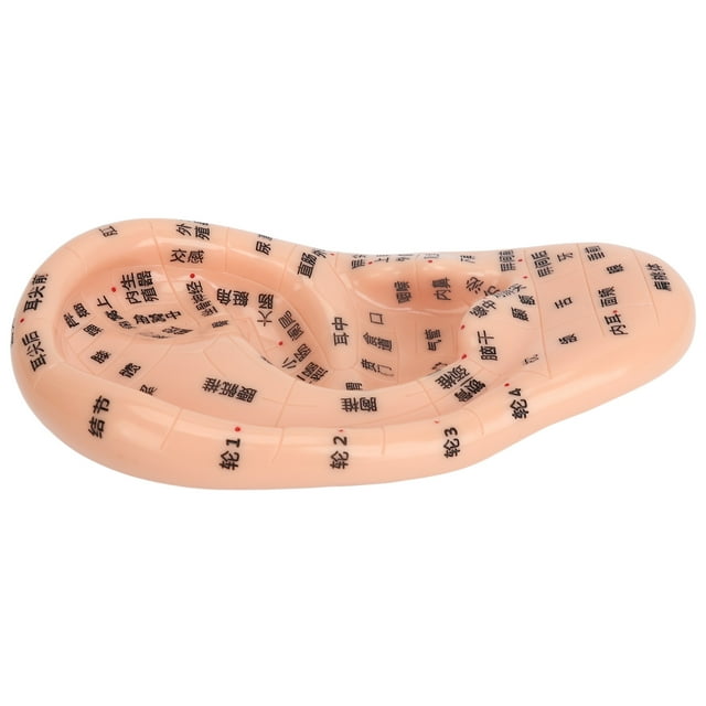 Ear Acupuncture Massage Kit, 600pcs Ear Massage Sticker Ear Sticker Acupuncturen Tool Kit Complete Tool Skincare for Daily Care