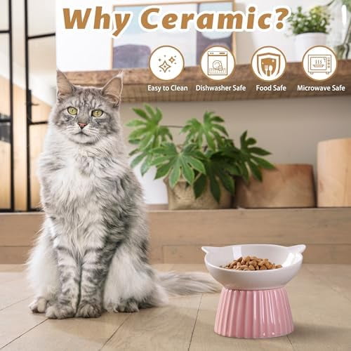 Ceramic Raised Cat Bowl，Tilted Raised Bowl Anti Vomit for Indoor Cats Whisker Friendly Pet Feeder for Cats Puppies, Microwave and Dishwasher Safe (Blue)