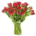 thumbnail image 2 of KaBloom: Fall Collection- Bouquet of 20 Red Tulips with Vase,Next-Day Delivery, Gift of Fresh Flowers for Every Occasion., 2 of 4