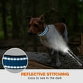 thumbnail image 7 of Taglory Reflective Dog Collar with Locking Buckle, Adjustable Nylon Collar for Extra Small Dogs, Skyblue, 7 of 7