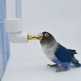 thumbnail image 5 of RABBITH Small Animals Water Bottle Top Fill No Drip Parrot Water Bottles for Bird Cage, 5 of 11