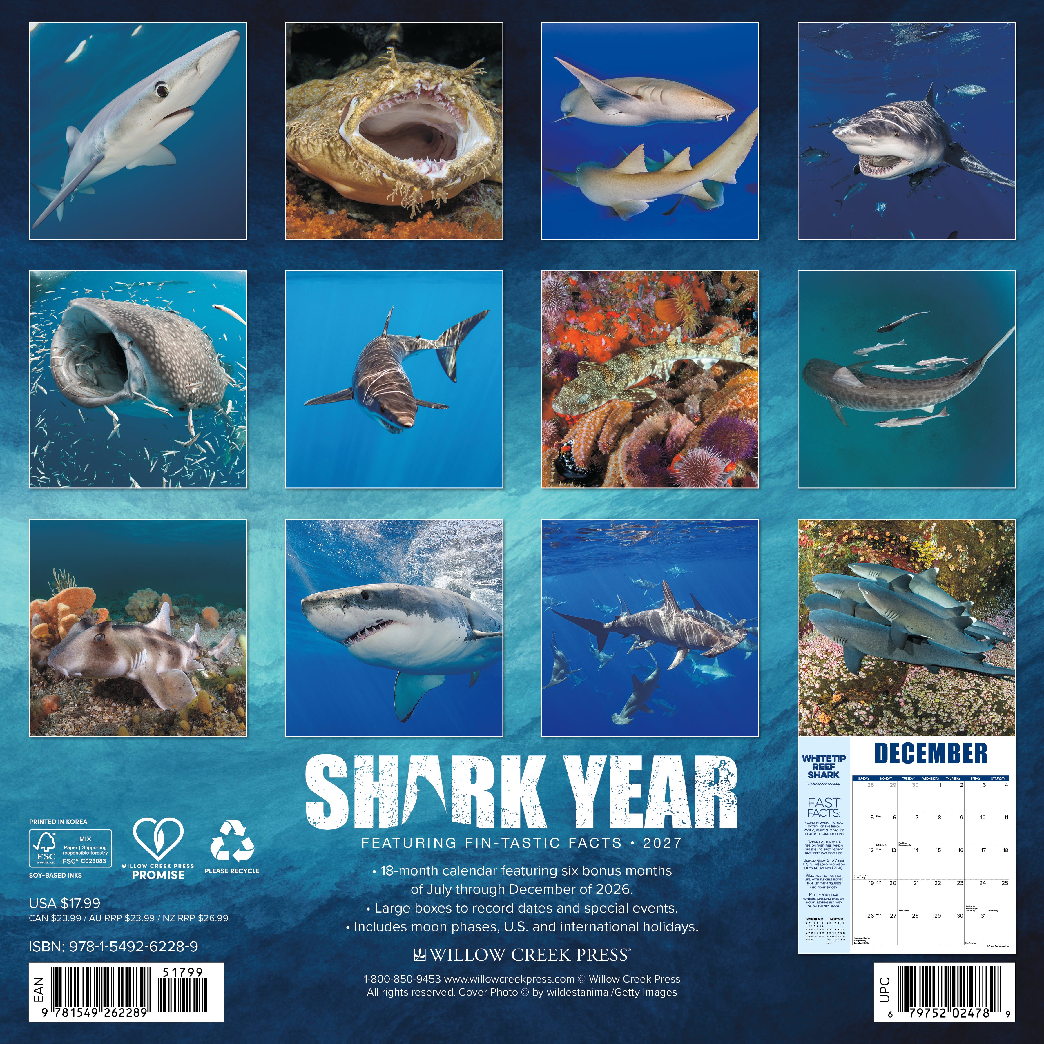 Willow Creek Press, Shark Year 2027 Wall Calendar