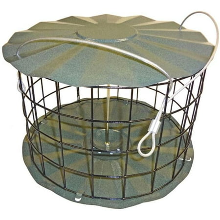 Erva Cyfb2 Seed Cylinder Feeder Dove Proof Walmart Canada
