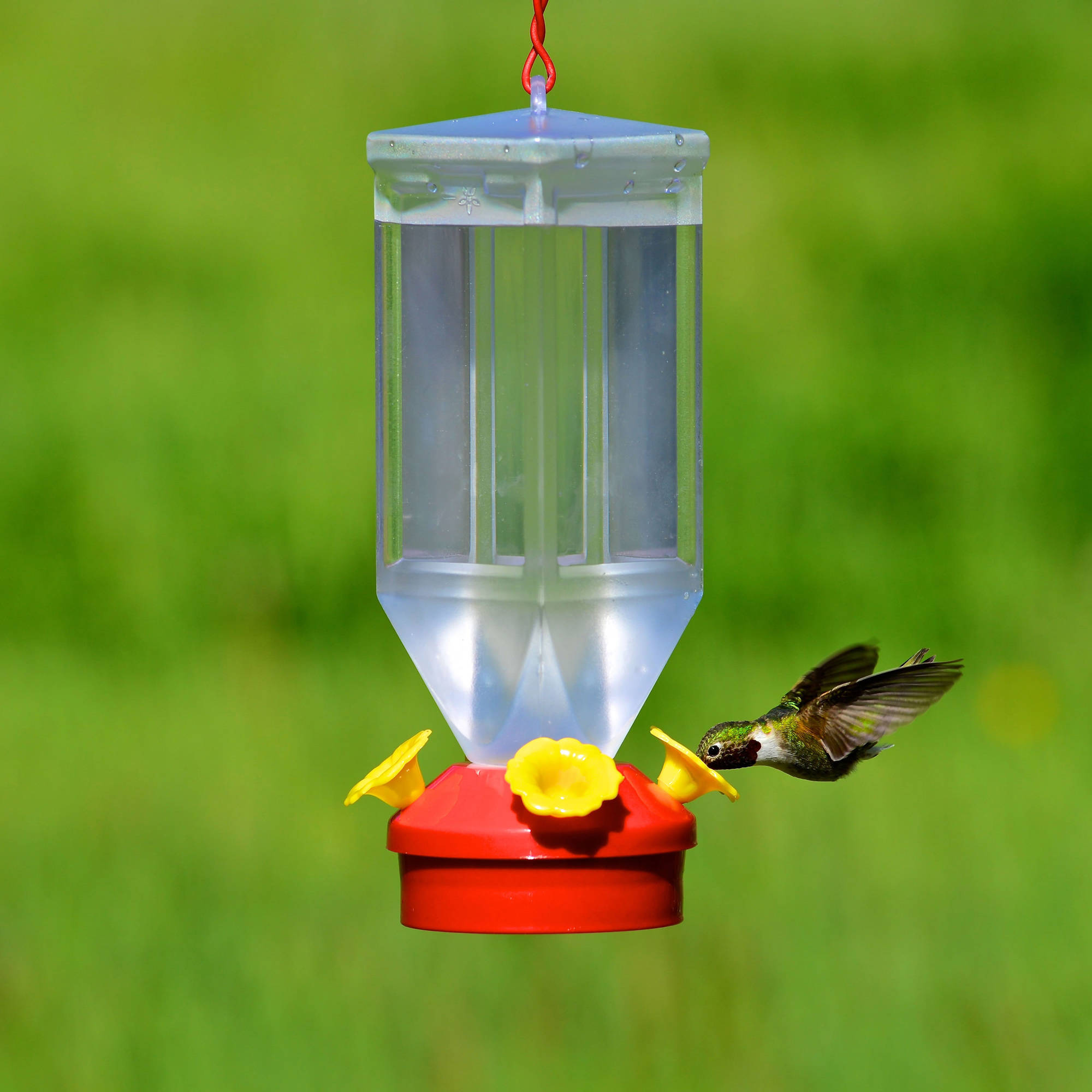 Perky-Pet Red Plastic Lantern Hummingbird Feeder - 18 oz Capacity - image 4 of 5