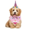 thumbnail image 3 of Pet birthday party outfit Birthday props Birthday towel birthday hat dress up - style2, 3 of 5