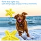 thumbnail image 5 of Juguetes para perros, juguetes masticables para perros, goma antimordeduras con forma de estrella de mar, limpieza de dientes adecuada para perros pequeños y medianos., 5 of 5