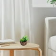 thumbnail image 4 of 2 uds simulación de suculentas en maceta mesa de comedor interior decoración de escritorio plantas verdes artificiales, 4 of 5