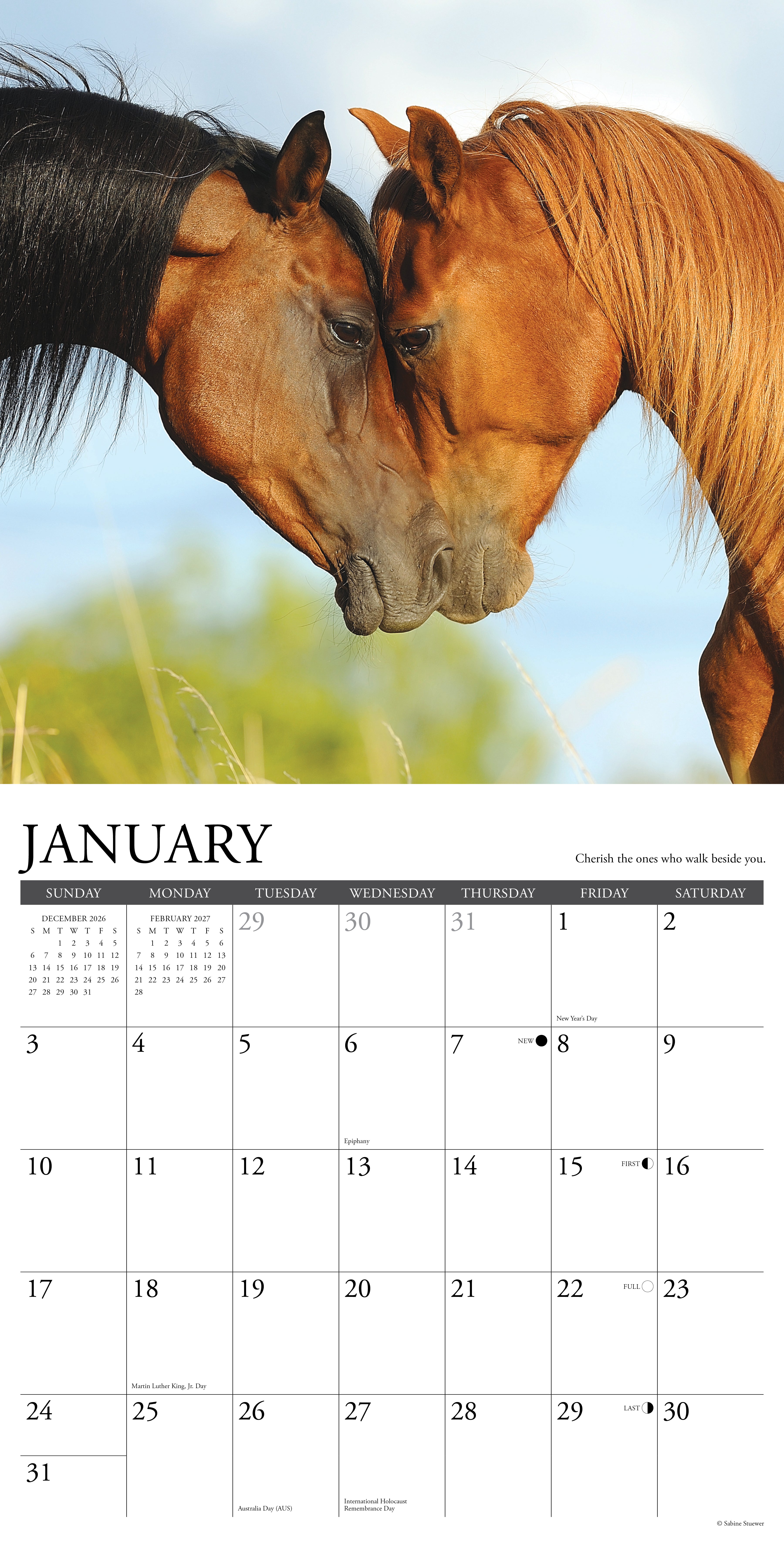 Willow Creek Press, What Horses Teach Us 2027 Wall Calendar