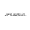 thumbnail image 2 of Clearly Canadian Zero Sugar Wild Cherry 355mL 6 Pack Cans, 2 of 4