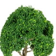 thumbnail image 6 of colcolo 3 Pieces Miniature Trees for Sand Table DIY Scenery Landscape Diorama Layout green tree, 6 of 8
