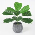 thumbnail image 4 of Planta artificial Hoja Oficina en casa Verdor Decoración Banquete de boda Planta falsa de plástico, Verde, Hoja de plátano kenally HA6782-03B, 4 of 6