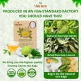 thumbnail image 2 of Soursop Tea Bags, 155 Count, 100% Natural Pure Soursop Leaves, Pleasant Taste Natural Flavor, 2 of 7