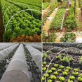 thumbnail image 5 of Juego de Aros para Invernadero de Jardín, Juego de Postes de Fibra Plegables para Jardinería, Soporte para Túnel de Plantación de Invernadero en, 5 of 5