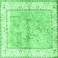 thumbnail image 1 of Ahgly Company Indoor Square Animal Emerald Green Traditional Area Rugs, 8' Square, 1 of 4