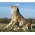 thumbnail image 4 of Flambeau Outdoors, Master Series, Lone Howler, Coyote Predator Decoy, 1 Piece, 7 Pounds Assembled, 4 of 7