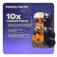 thumbnail image 5 of (2 pack) Nütrops Nootropic Sugar Free Mushroom Gummies with Lion's Mane, Cordyceps, & Reishi - Functional Mushrooms & Adaptogens to Support Brain Health, Caffeine-Free, Lemon Clouds Flavor, 12 count, 5 of 9