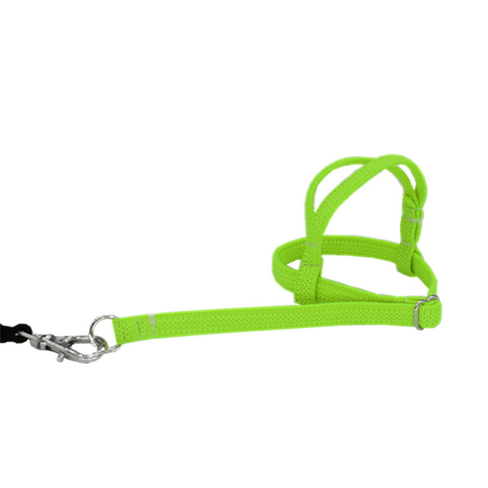 Pet Bird Parrot Harness and Leash Bird Rope Training Supplies Walmart Canada