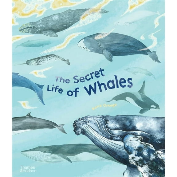 The Secret Life Of...Series The Secret Life of Whales, (Hardcover)