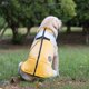 thumbnail image 1 of Ropa para mascotas Ropa para perros grandes Ropa para mascotas Ropa para mascotas Golden Retriever Chalecos de moto de invierno 22, 1 of 3
