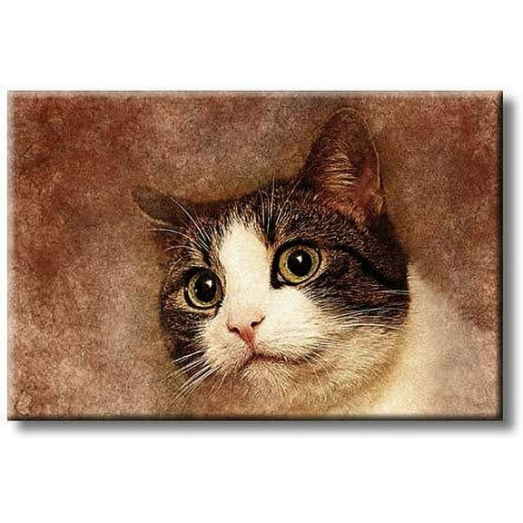 Lovely Cute Cat Picture on Stretched Canvas, Wall Art D?cor, Ready to Hang