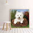 thumbnail image 3 of Cuadros Decorativos 5D taladro redondo completo diamante pintura cachorro perro diy bordado punto de cruz decoración Likrtyny embutido en tela, 3 of 9