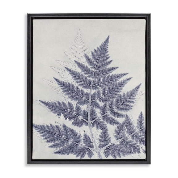 Stupell Industries Modern Blue Fern Imprint Black Floating Frame Canvas Art, 17 x 21, by Pernille Folcarelli