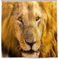thumbnail image 2 of FREEAMG Africa Lion Shower Curtain, 72 x 72 Waterproof Polyester Fabric Shower Curtain Liner with Hooks for Bathroom Hotel, 2 of 4