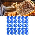 thumbnail image 4 of Disque d'Entrée pour Abeille, Disque de Porte d'Entrée Rond Facile à Installer pour Apiculture Bleu, 4 of 8