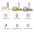 thumbnail image 2 of Cat Bowls,Water And Food Bowls Cat,Automatic Cat Water Dispenser Cat Food Dispenser Pet Bowls Set,Cat Water Food Bowl Automatic Water Filling 16 Degree Tilt Stainless Steel Double Pet [green], 2 of 9