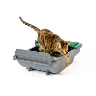 ScoopFree Litter Box & Replacement Trays by PetSafe - Jeffers
