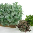 thumbnail image 4 of Gwong Decoración hogareña 1 UNID plástico artificial plantas de hoja perenne hojas de árboles falsas de hojas de vegetación decoración del hogar Gwong 21051888, 4 of 7