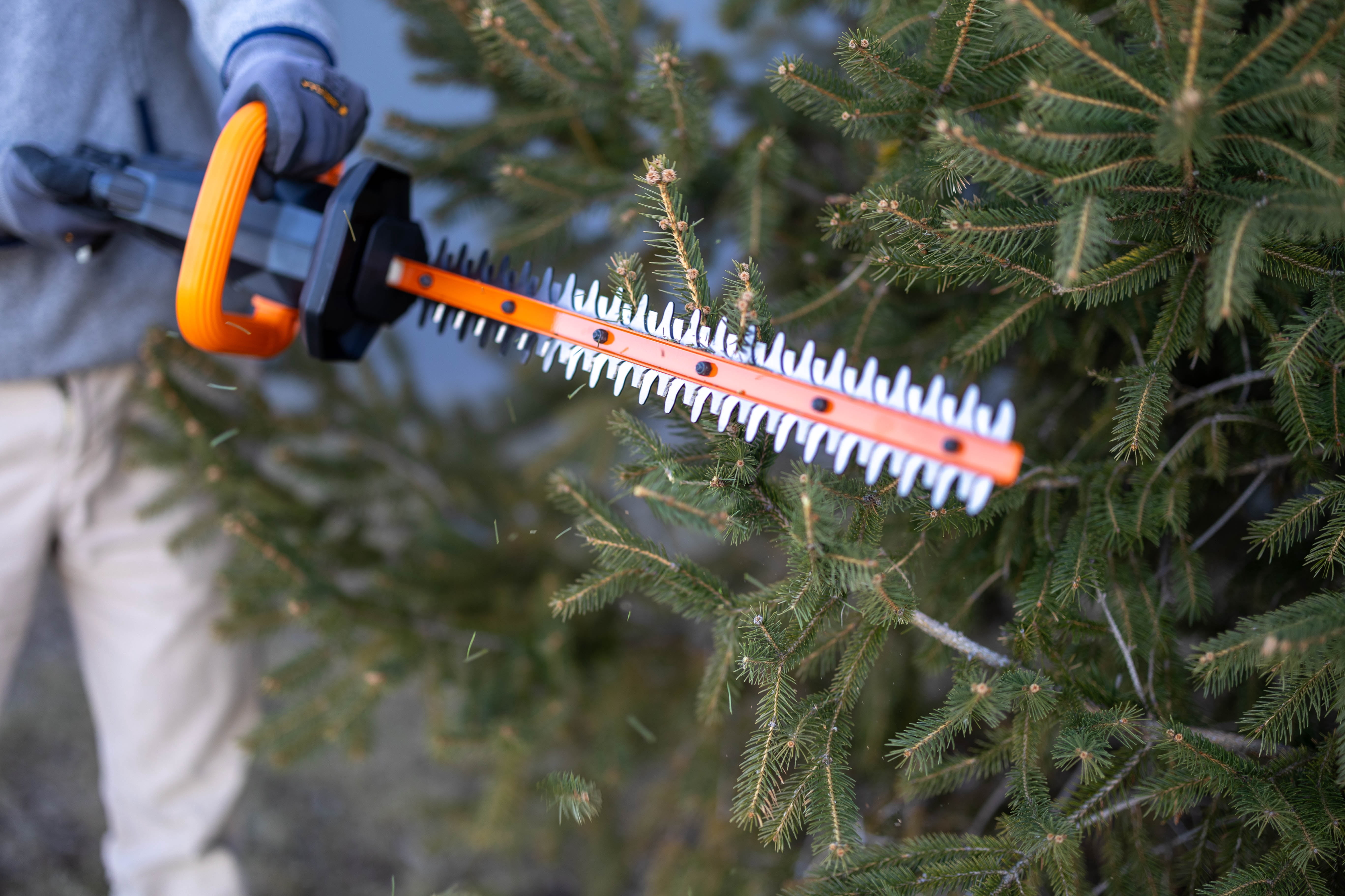 WEN 20V Max Cordless 20-Inch Hedge Trimmer with 2Ah Battery and Charger