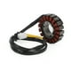 thumbnail image 4 of Generador de estator para Honda CBR250 90-96 CB250 Hornet 96-07 Jade 250 91-1994, 4 of 8