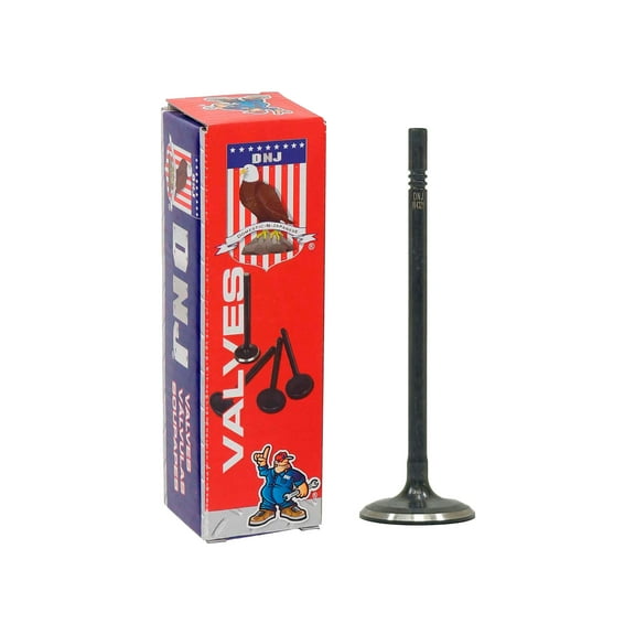 DNJ IV4321 Intake Valve Set Fits Cars & Trucks 2017-2020 Lincoln Continental 2.7L V6 164cid 24V DOHC