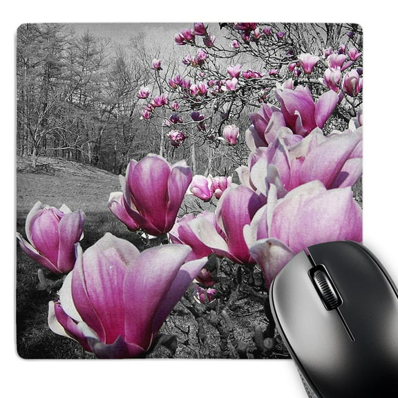 3dRose, Spring Blossoms featuring pink flowering blossoms in a black and white picture, MousePad