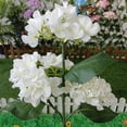thumbnail image 5 of CPAN 2x Solar Lights Outdoor Decorative Hydrangea Garden LED Waterproof Flowers, 5 of 9