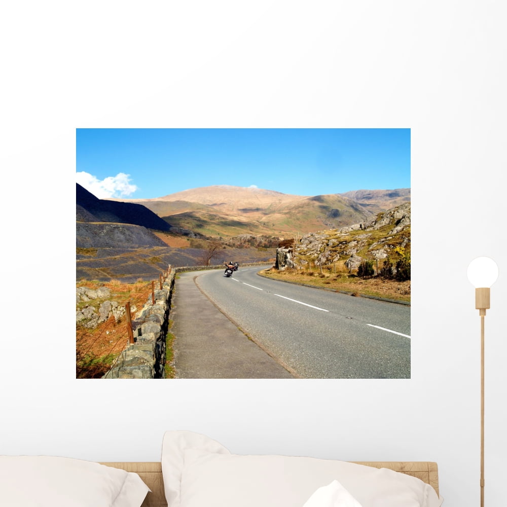 Easy Riders Wall Mural Decal by Wallmonkeys Vinyl Peel and Stick