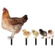 thumbnail image 2 of GOOHOCHY 5 estacas para gallinas de jardín, decoración de pollitos de jardín, letreros acrílicos para pollitos, decoración de jardín, 2 of 8