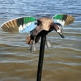 thumbnail image 6 of Mojo Outdoors Elite Series Blue Wing Teal Wing Duck Decoy with Pole (2 Pack), 6 of 7
