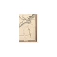 thumbnail image 3 of Historic State Map - West Florida - 1800 - 23 x 34.89 - Vintage Wall Art, 3 of 5