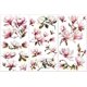thumbnail image 1 of Juego de 3 calcomanías Magnolia para muebles y manualidades, 6x12 pulgadas, diseño floral vintage., 1 of 7