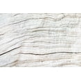 thumbnail image 2 of 1x Studio III 14x11 Black Ornate Wood Framed with Double Matting Museum Art Print Titled - Texture 08, 2 of 4
