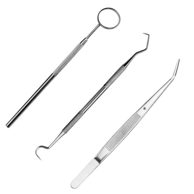 Vogacara Juego de espejos bucales Kit de removedor de placa de acero inoxidable Herramientas de limpieza de portátiles, 3 piezas Type3 NO3 Vogacara CE000630-01