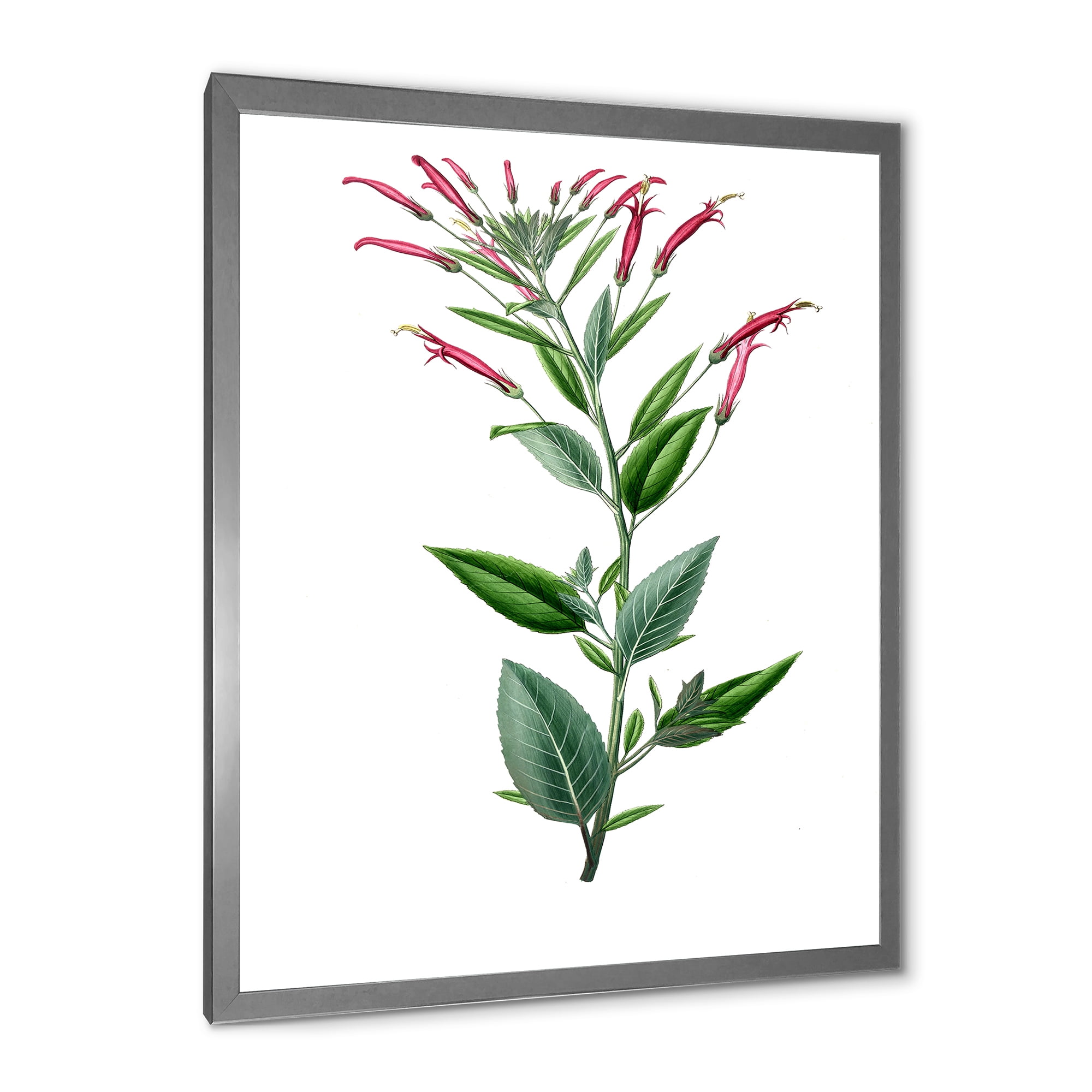 Designart 'Ancient American Flora III' Traditional Framed Art Print