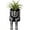 #02, variant on Halloween Whimsical Hanging Leg Planter,Hand-Painted Resin Succulent Pot with Dangling Legs,Spooky Shelf Decor for Succulents and Small Plants